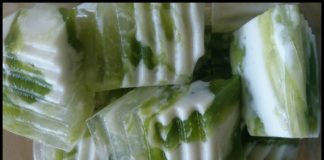 rau-cau-son-thuy
